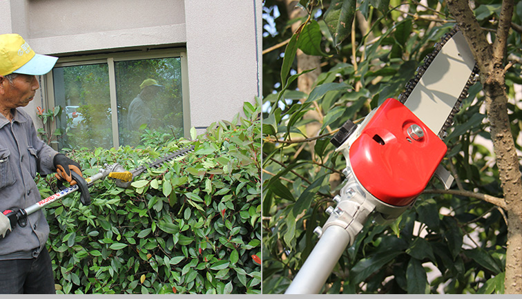 Kỹ năng cắt dụng cụ trong bảo trì vườn là gì?