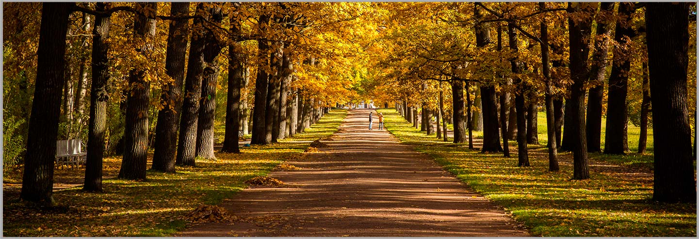 CÔNG TY TNHH MÁY NINGBO AOSHENG.